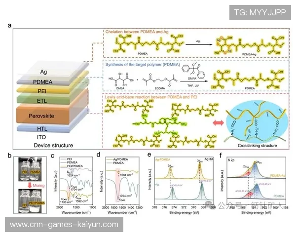 冬窗押注策略:年轻化与多功能性为何吃香? 冬窗押注策略:年轻化与多功能性为何吃香?